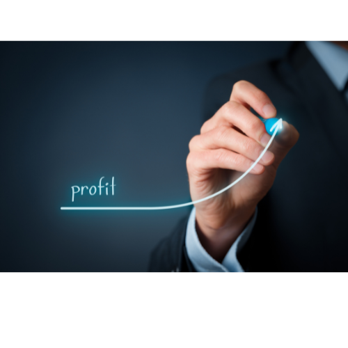 Navigating Net Profitability: Insights from Seasoned Founders
