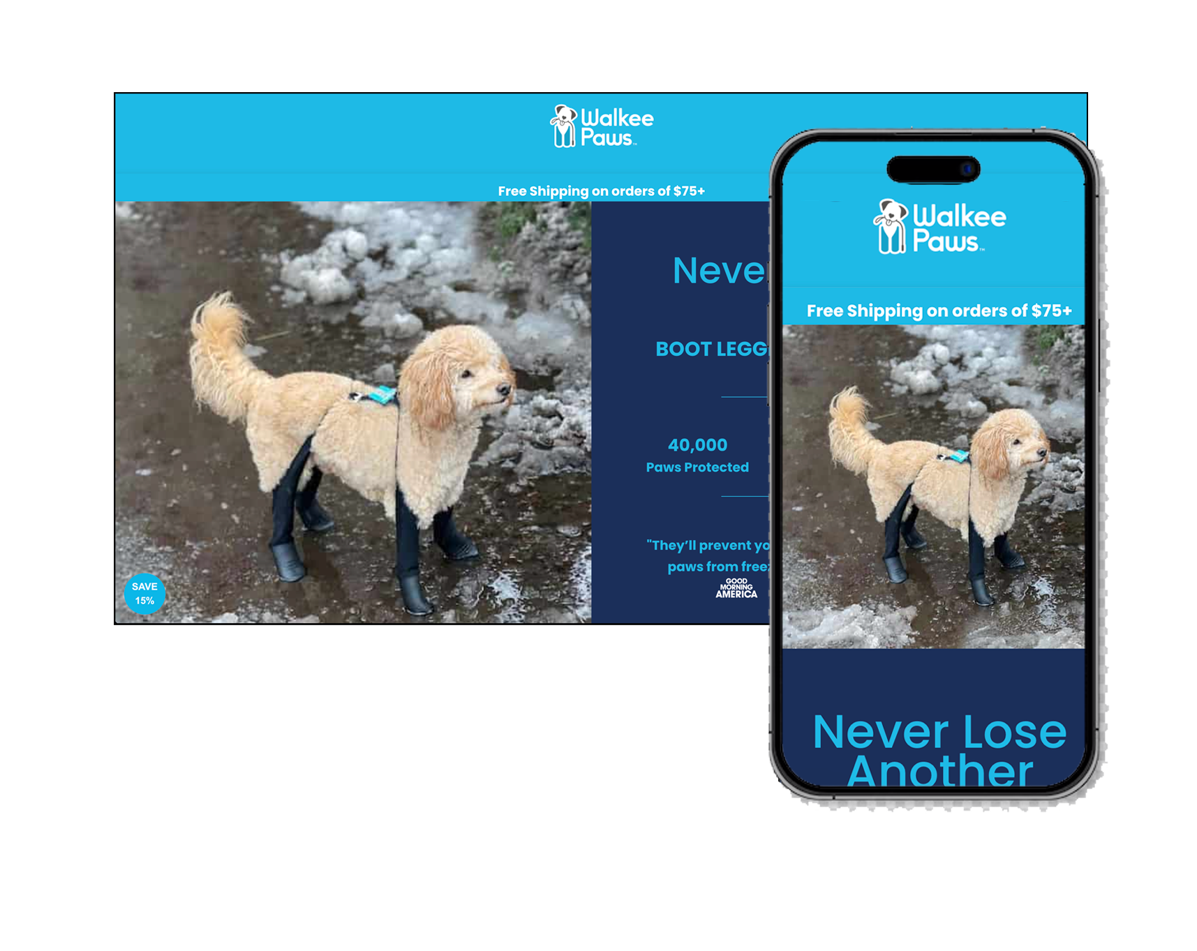 Image Title Alt Image