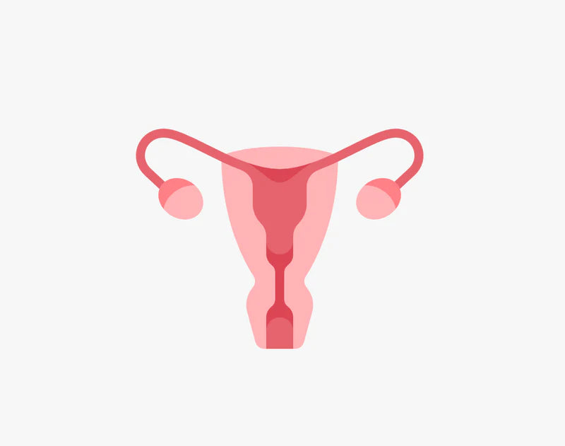 Strengthen Uterine Lining